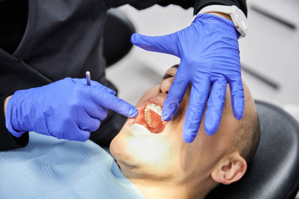 Best Emergency Dental Care for Broken or Chipped Teeth in Seward, AK